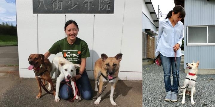 話せない犬だからこそ、伝わる思い…少年院で「犬の訓練」通じて更生目指す「GMaCプログラム」