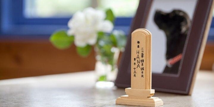 法的には「モノ」扱い ペットの交通事故死、慰謝料が認められるのはどんなとき?
