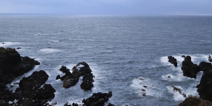 日本海に流れ着く「謎の遺体」、火葬する自治体は悲鳴…官報掲載「行旅死亡人」の背景