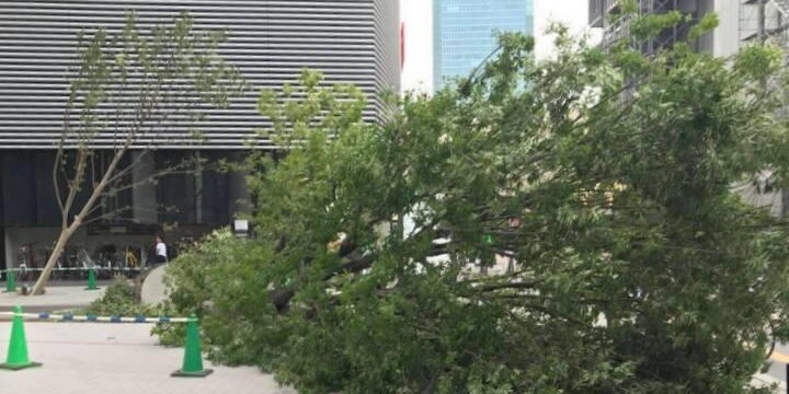 台風で「命の危険」、現地中継は公開パワハラか 安全対策についてNHK・民放の考え