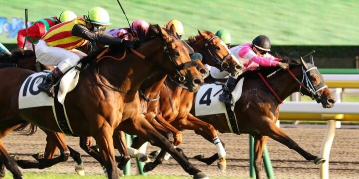 ファン疑問「二重課税では?」公営ギャンブルの税金未納、三冠馬「出資者」に聞く
