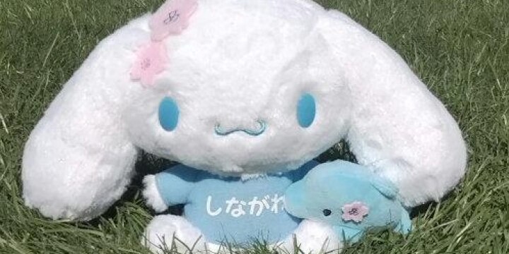 品川区「シナモロールは区の看板を背負っている」ふるさと納税の返礼品にグッズ追加